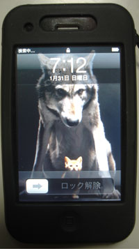 iphone16.jpg