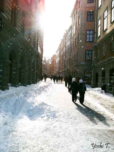 sweden_winter_feb_2010.jpg